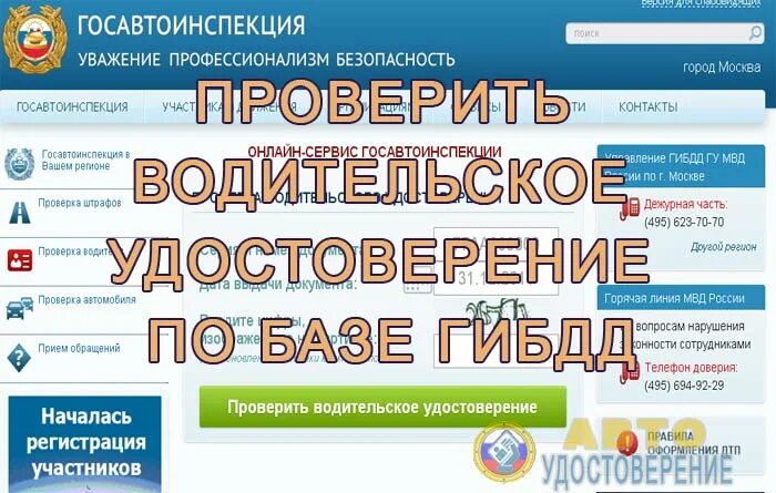 База данных ГИБДД водительских прав. База данных ГИБДД по фамилии. База ГИБДД О лишении водительских прав. Проверить ву по гибдд