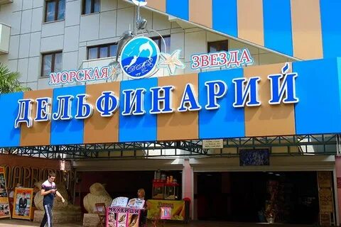 Морская звезда сочи коммунистическая улица