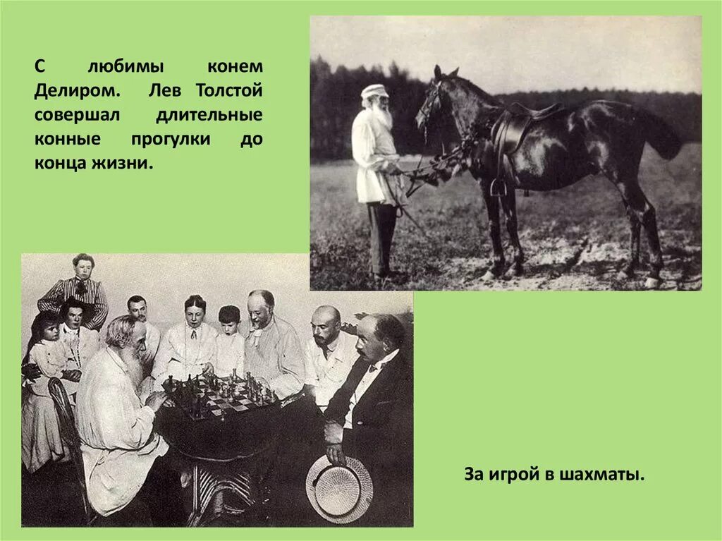 Увлечения Толстого Льва Николаевича. «Лев толстой на лошади» (1900 г.). Лев толстой и кони. Увлечения Льва Толстого. Мой лев толстой одноклассники