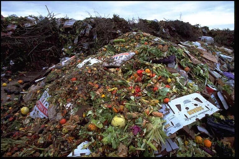 Органических отходов. Пищевые отходы на свалке. Утилизация пищевых отходов. Сельскохозяйственные отходы. Свалка органических отходов.