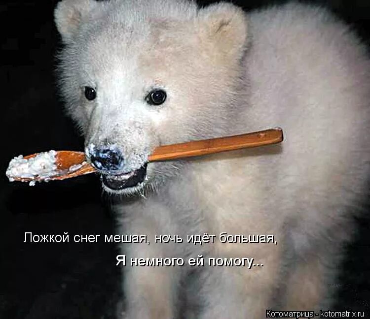 ночью снег мешая ночь. колыбельная умки текст. лодкой снег мешая ночь идет. ложкой снег.