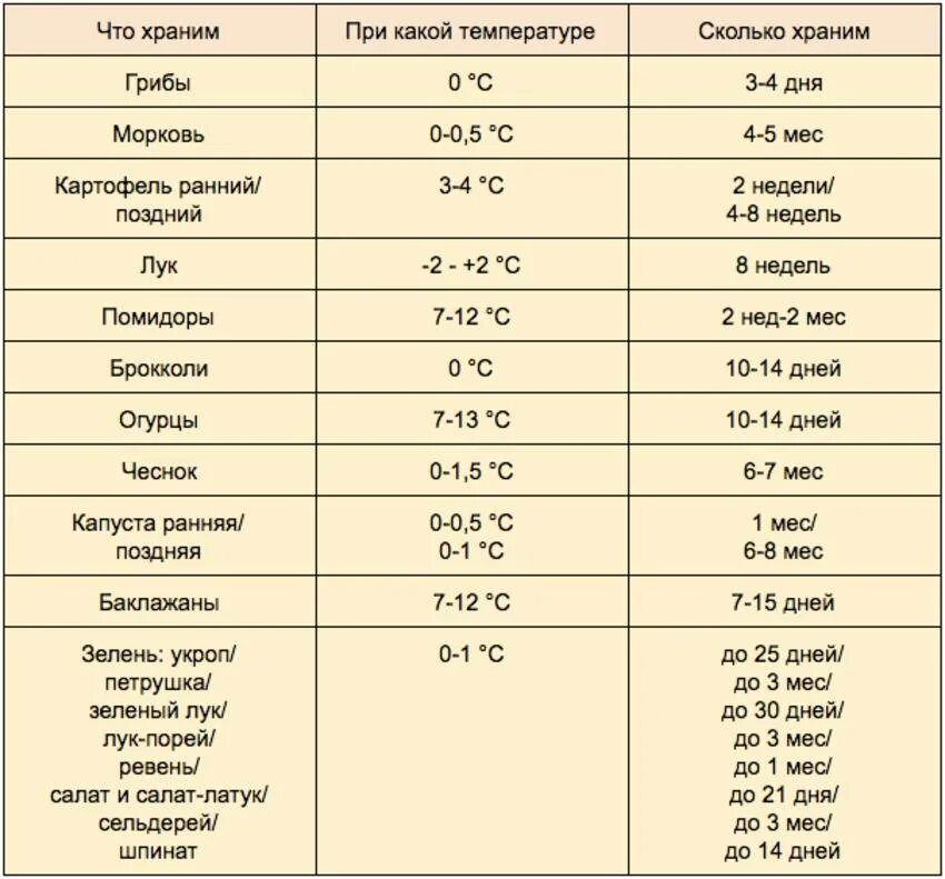 Сколько хранить грибы в холодильнике. Сроки хранения фруктов по санпину таблица. Температурный режим хранения овощей по санпину. Сроки хранения овощей. Сроки хранения овощей и фруктов.