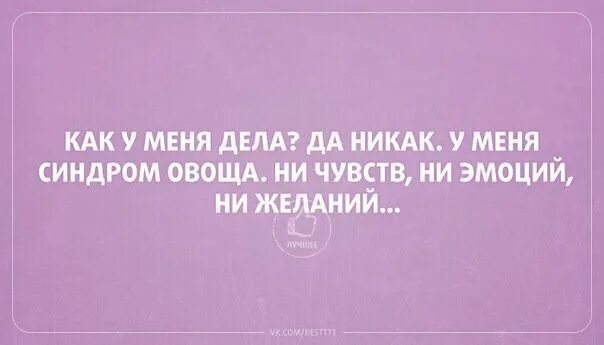 Отвлечь внимание. Дела никак. Поэтому дела у меня никак.