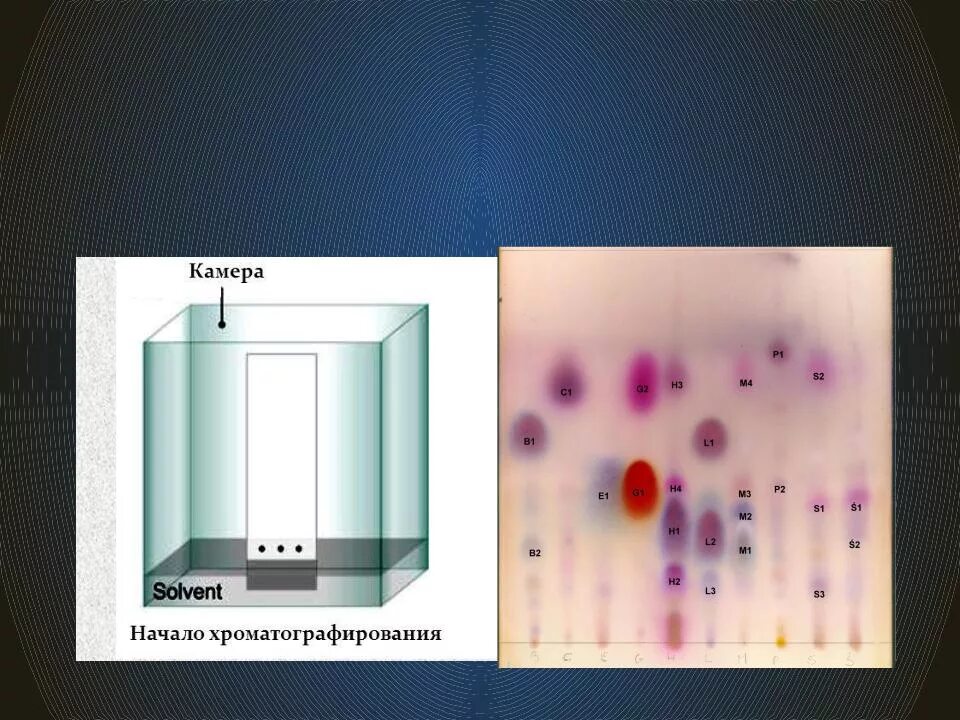Планарная хроматография. Бумажная и тонкослойная хроматография. тонкослойная гель-фильтрационная хроматография. механизм разделения тонкослойной хроматографии. высокоэффективная тонкослойная хроматография (вэтсх).