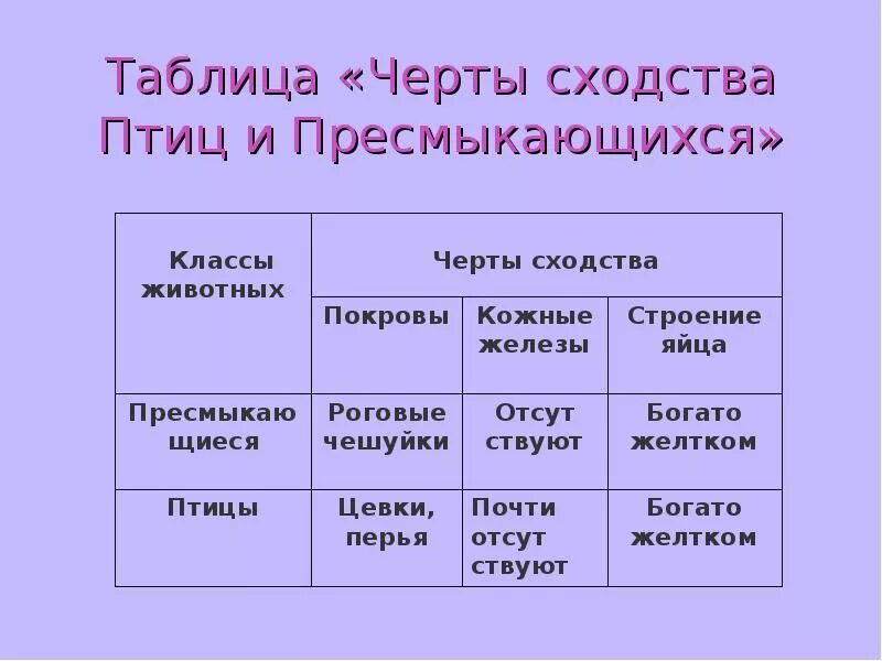 Таблица рептилий 7 класс. Черты сходства птиц с пресмыкающимися 7 класс. Сходства птиц и пресмыкающихся таблица. Птицы и пресмыкающиеся сходства. Черты сходства птиц и пресмыкающихся.