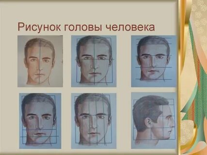 Голова 6 класс