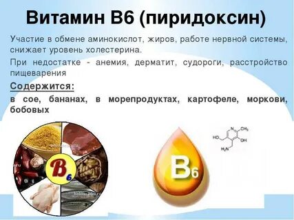 В6 роль в организме
