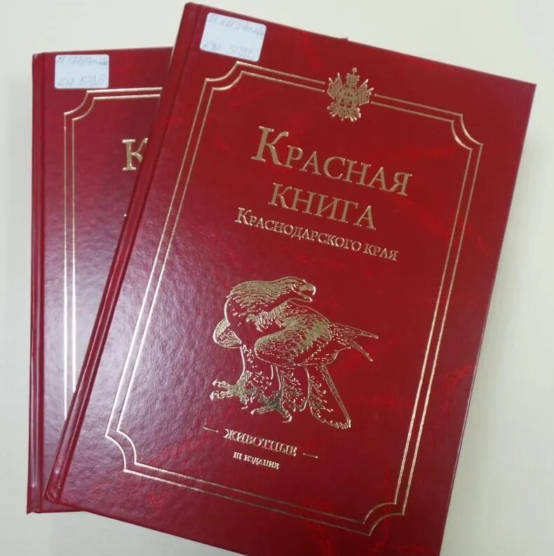 Ставрополь купить книгу. Красная книга. Красная книга Краснодарского края. Красная книга Краснодарского края книга. Животные красной книги Краснодарского края.