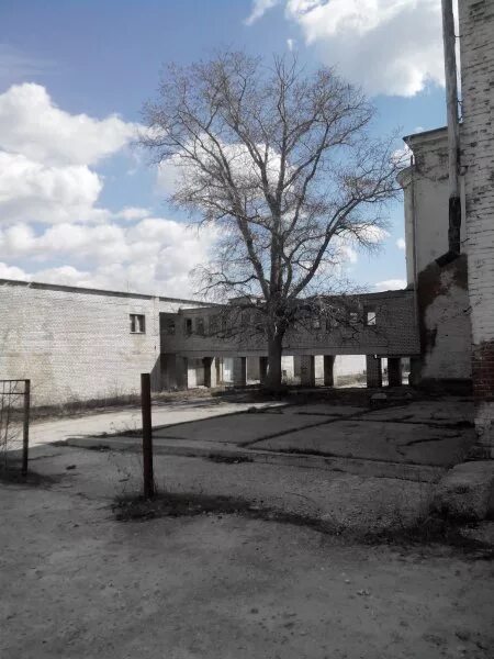 погода богородское саратовской вольского. саратов богородское. дом богородское вольский. село богородское саратовская область вольский район. белогорное саратовская область храм.