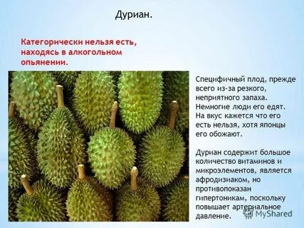 Описание фрукта дуриан
