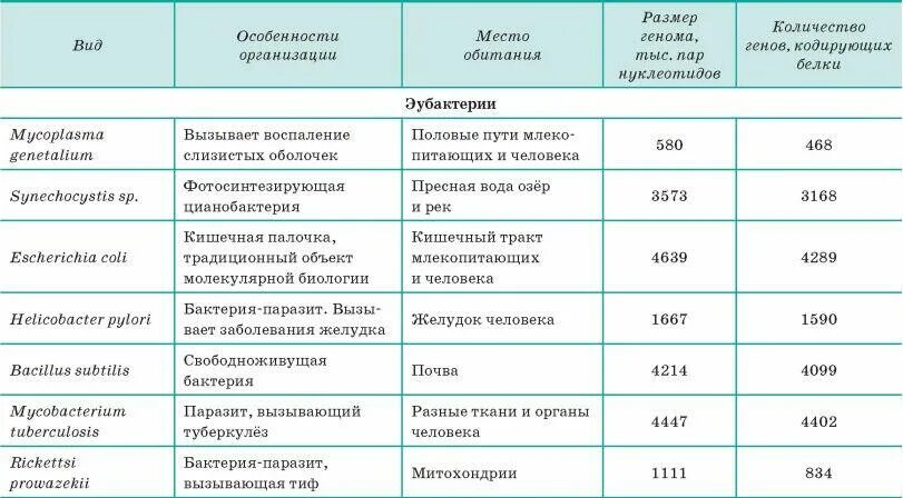 Размеры геномов разных организмов. Геномная таблица таблица. Длина генома таблица. Гены человека таблица.