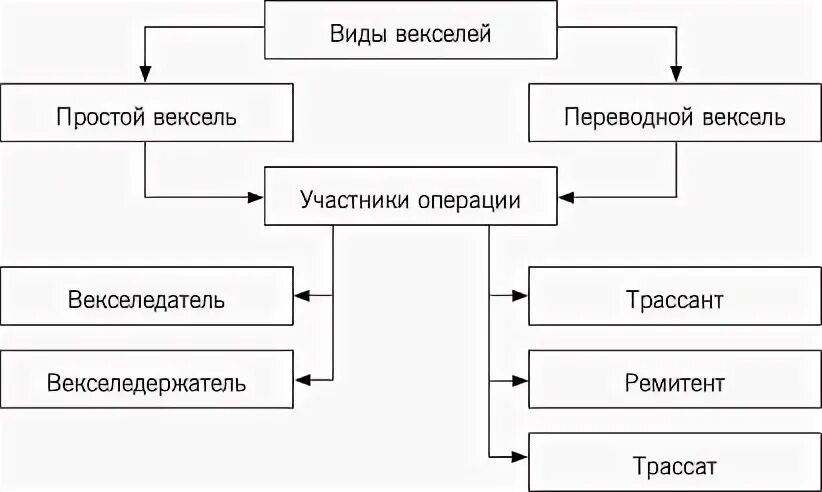 Организация учета векселей. Операции с векселями. Учетная операция векселей. Вексель в бухгалтерском учете. Вексель в бухучете.