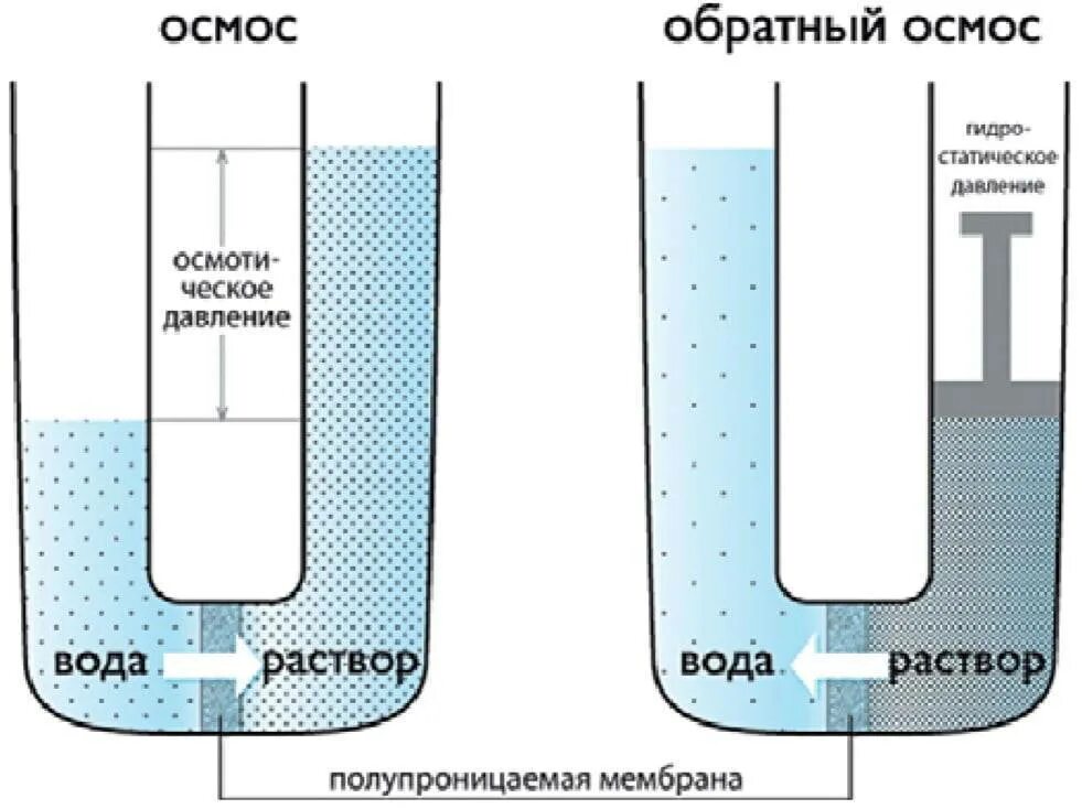 Можно ли пить осмос. Обратный осмос принцип. обратный осмос что это такое простыми словами. осмос схема химия. осмос схема процесса.