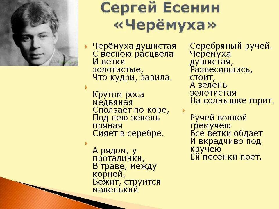 Хи Есенина. Есенин с. "стихотворения". 3 Стихотворения Есенина.