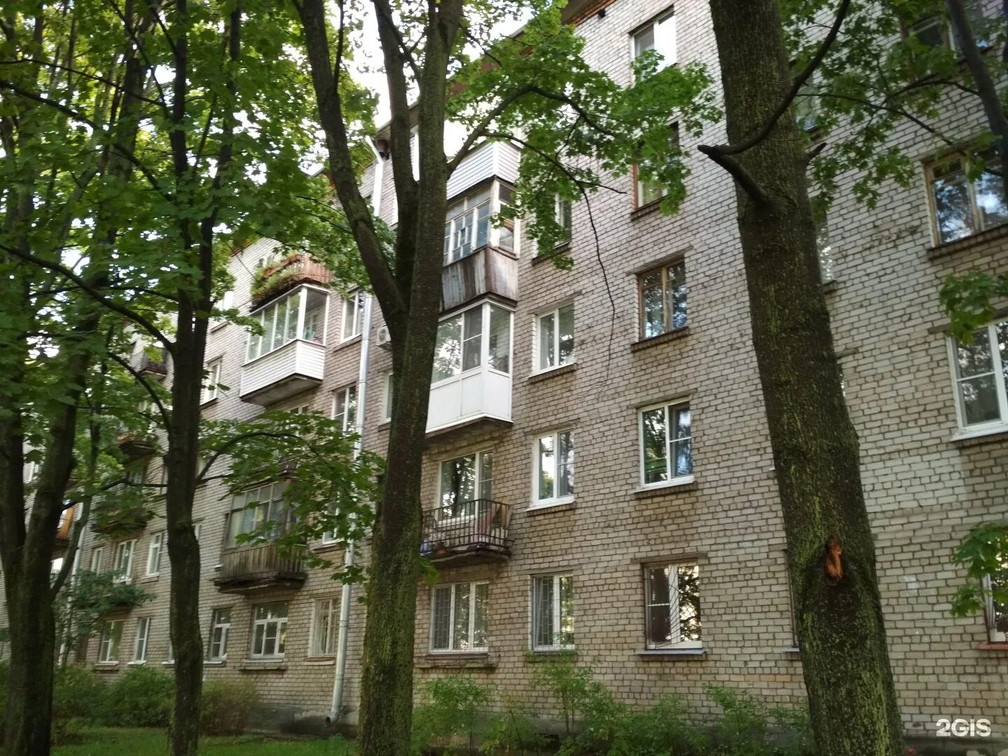 пр тореза 39 к 1. пр мориса тореза. санкт петербург пр т тореза. проспект тореза. тореза 18 санкт-петербург.