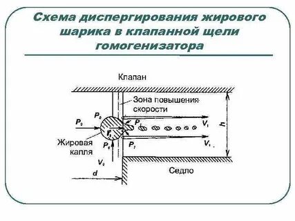 Размер жировых шариков