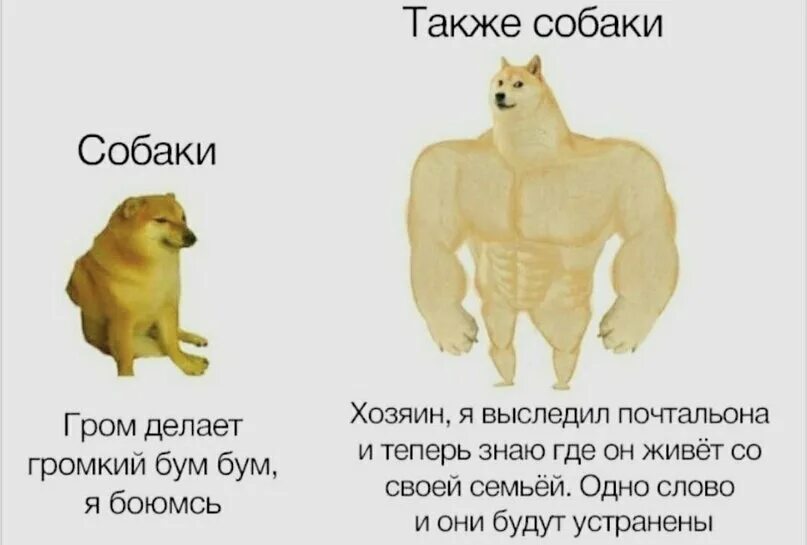 Сильная и слабая собака