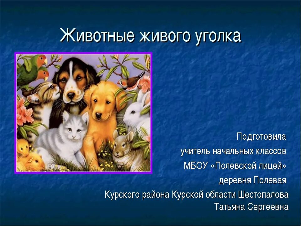 Угол зверь. Животные живого уголка. животные живого уголка 2 класс. проект про животных. живой уголок презентация.