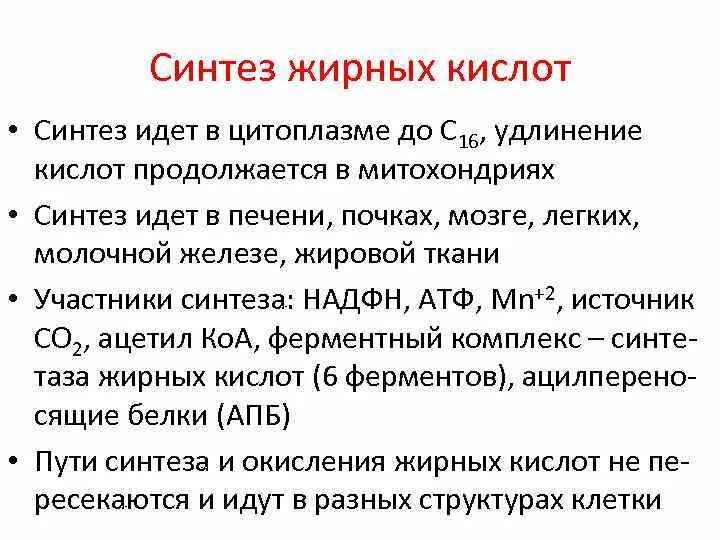 Толстой синтез. Синтез жирных кислот в цитоплазме и митохондриях клетки. Синтез жирных кислот. Синтез жирных кислот в митохондриях. Синтез жирных кислот в печени.