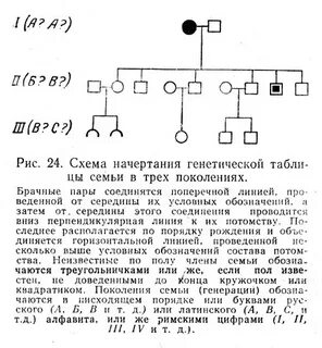 Схема родословной генетика