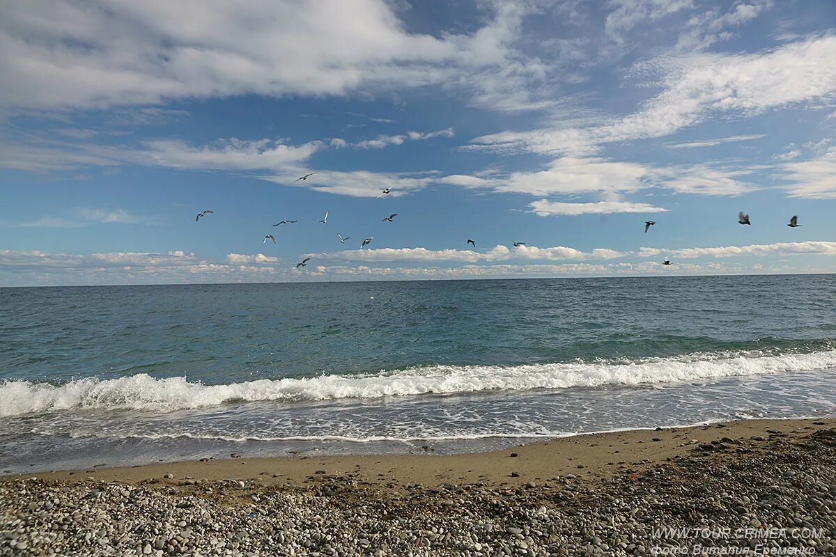 Температура воды в черном в алуште. Черное море Алушта. Море в Алуште 2022. День черного моря 2022. Алушта море фото.