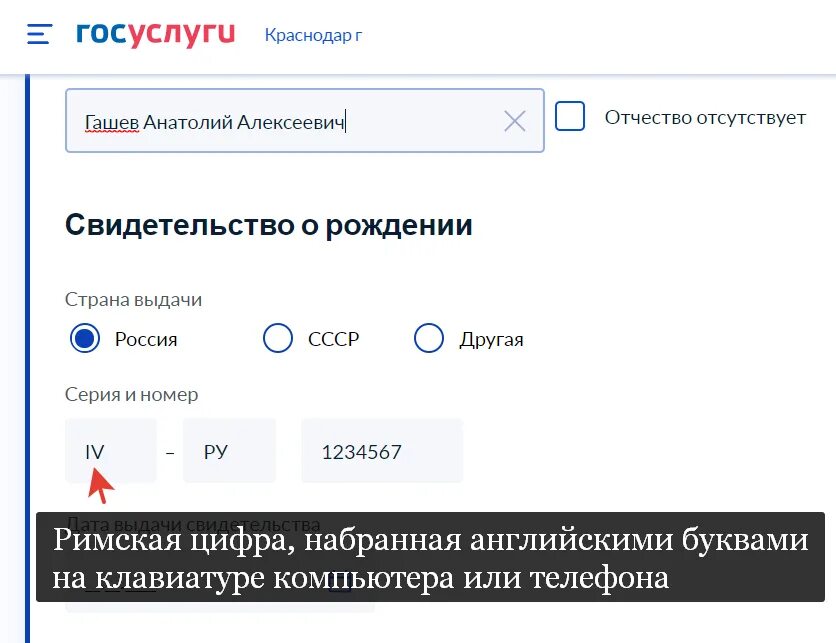 Римская 1 для госуслуг