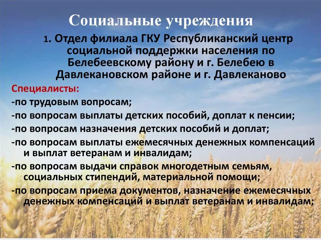 Гку республиканский центр поддержки населения. Республиканский центр социальной поддержки населения. Гку рцспн инн данные. Пенсионный фонд туймазы. Гку республиканский центр поддержки населения.