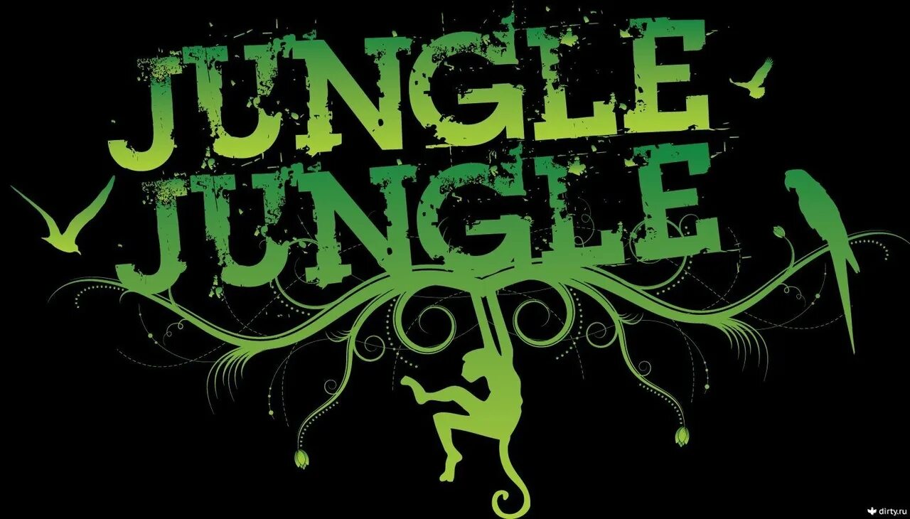 Jungle жанр. Jungle dnb. джангл жанр. джангл микс. jungle drum and bass.