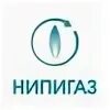 Нипигаз инжиниринг. Нипигаз. нипигаз логотип. нипигаз тюмень. нипигаз тюмень логотип.