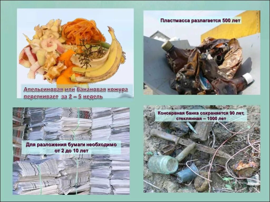 Пластиковая бутылка разлагается. Период разложения пластмассы. Сколько распададсетсч пластиковая бутылка. Пластмасса разлагается. Пластмасса разлагается.