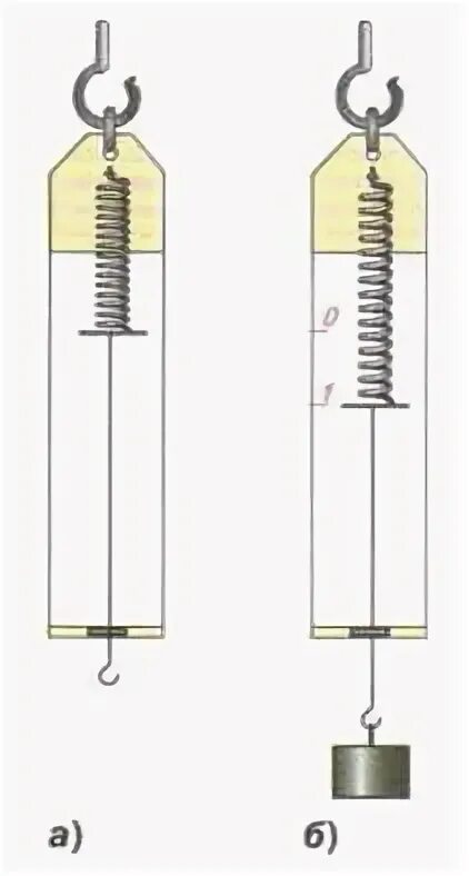 Градуирование динамометра. Градуирование пружины динамометра. Проградуированный динамометр. Лабораторная по физике 7 градуировка динамометра. Укрепить динамометр в лапке штатива