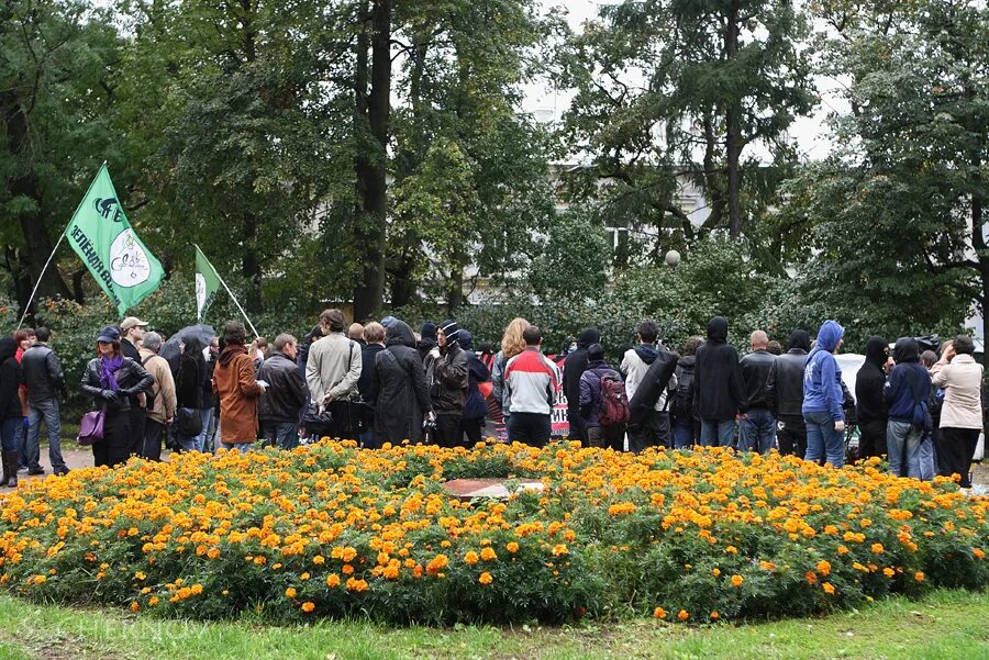 В троицке вырубают лес. Протест в троицке. Протест против вырубки лесов. Толоконникова химкинский лес. Протест против вырубки лесов.