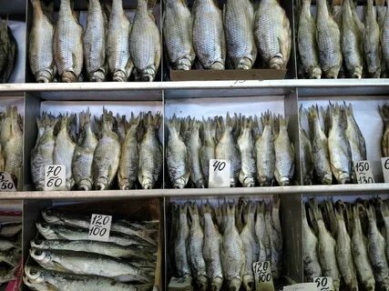 Рыба опт астрахань