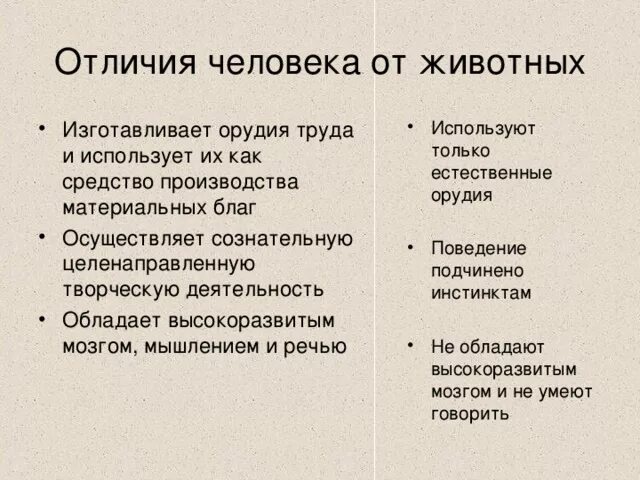 Записать отличие человека от животного. Записать отличие человека от животного
