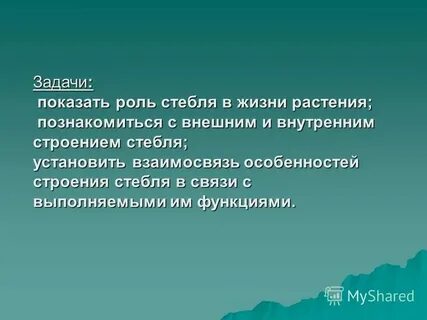 Какое значение в жизни растений имеет стебель
