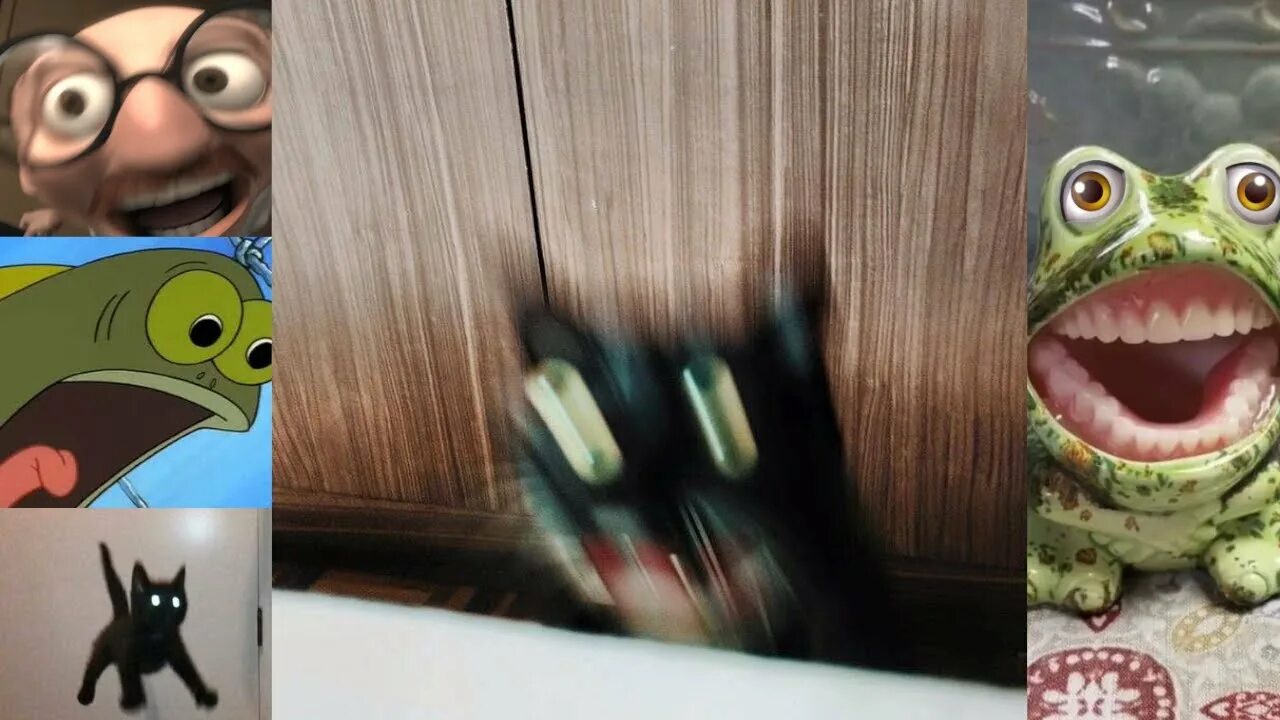 Смазанные коты. Смазанный черный кот. смазанный снимок. размытые коты.