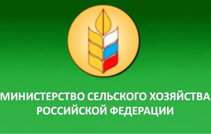 щусев здание наркомзема. министерство сельского хозяйства пензенской области пенза. министерство сельского хозяйства пензы флаг. здание наркомзема на садовой-спасской улице. минсельхоз рф логотип.