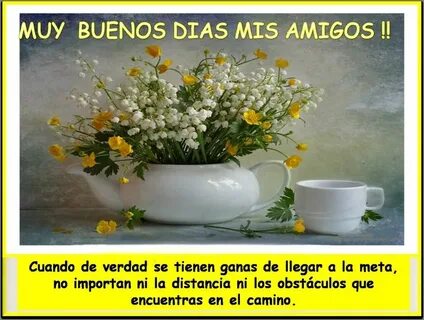 Buenos amigos