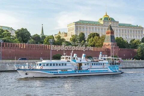 Чижик москва река