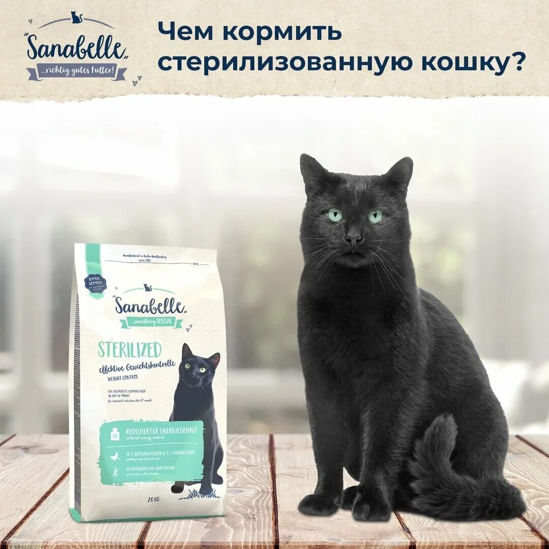 Почему кошка не поправляется