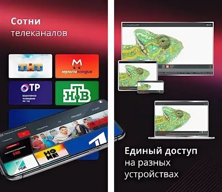 Акадо приложение. Приложение акадо тв. акадо карта для телевизора.