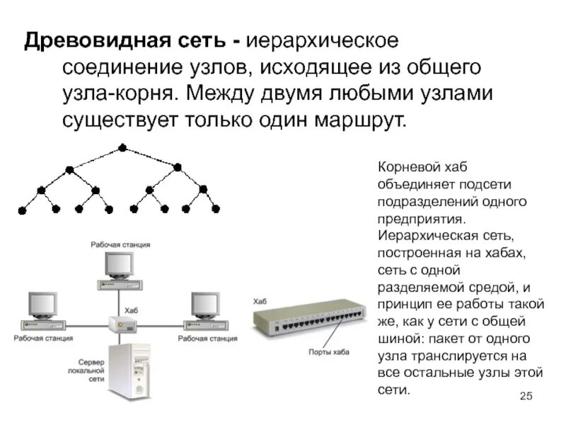 Локальная сеть схема соединения. Соединение  сети древовидная иерархическая. Схема локальной вычислительной сети. Локальная вычислительная сеть локальные вычислительные сети.