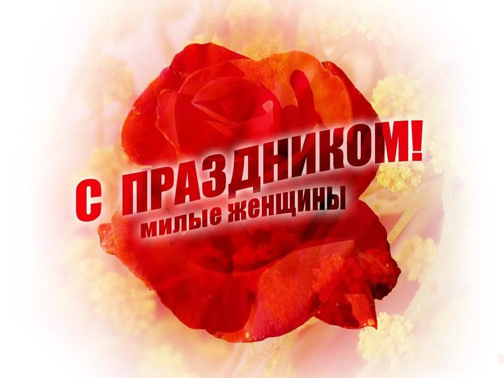 Дорогие девочки с праздником 8. С праздником дорогие женщины. с праздником милые женщины. мимлы женщины с праздником.
