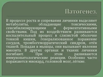 Личинки созревают в легких