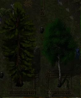 Vampire life