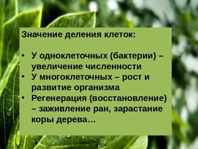 Разграничить значение. Разграничить значение
