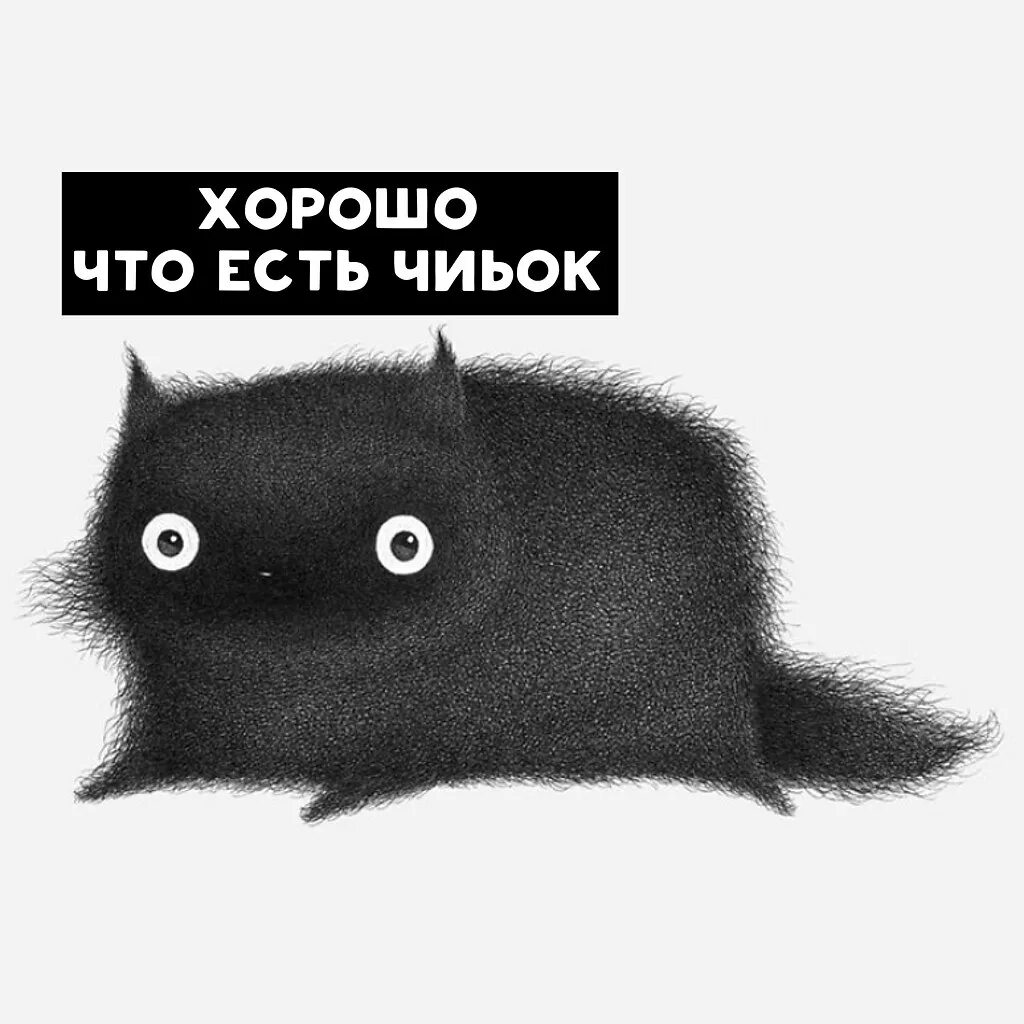 Кот мем 2025. Кот картинки прикольные. кофий мем с котом. кофи мем. чернильный кот кофи.
