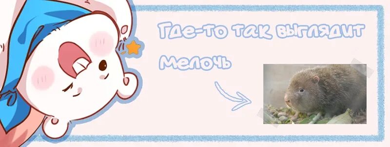 Измена как жить дальше. Мужчина изменяет. Измена это измена. Моральная измена это. Смешные высказывания про женщин.