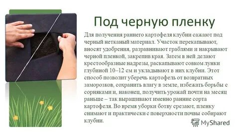 Получение ранний