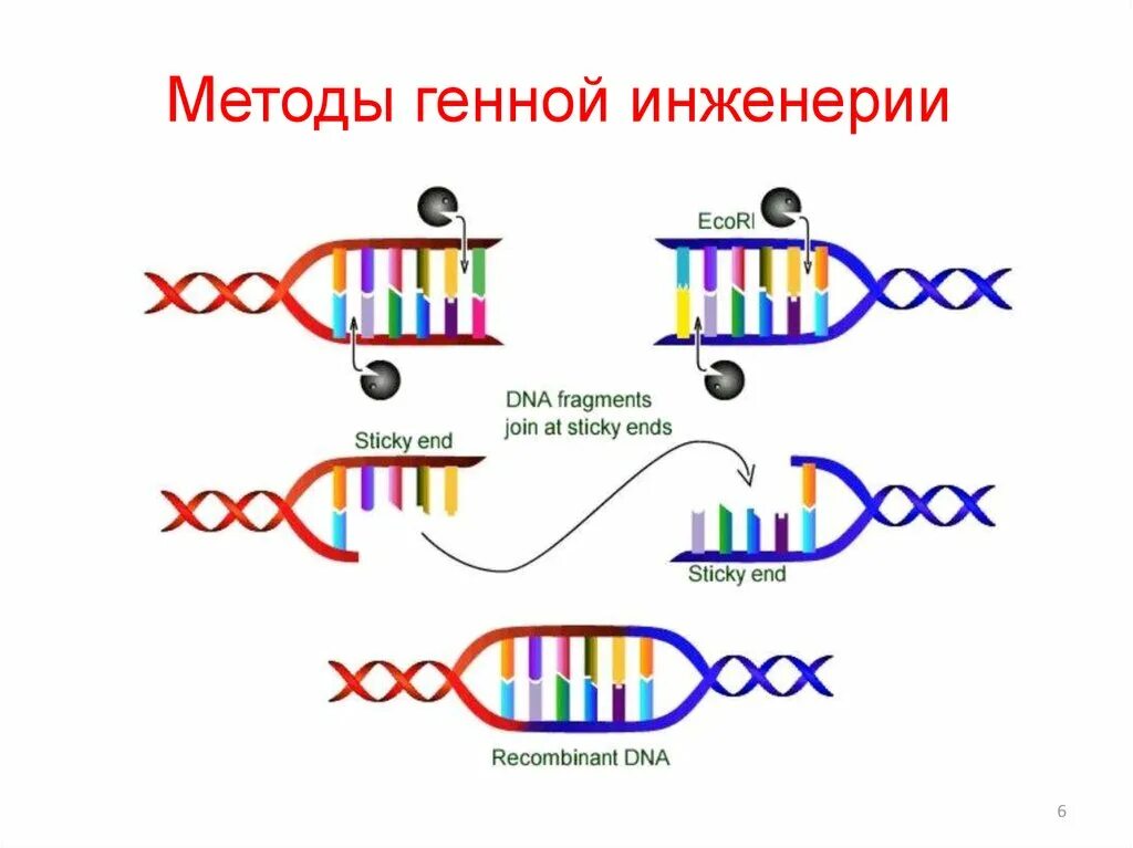Методы генной инженерии схема. Создание гена. Синтез искусственного гена. Синтез генов с помощью пцр. Создание гена.